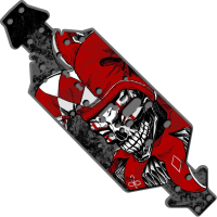 Custom Chassis protective skin
