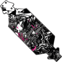 Custom Chassis protective skin