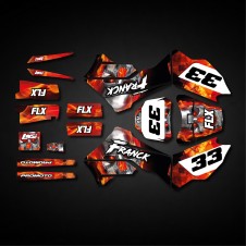 Skin personalizzata Losi Promoto
